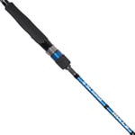 Jigging Kamışları RYUJI SEAHUNTER SP 2.06M 80-300GR 2P JIG KAMIŞ