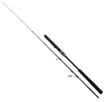 Jigging Kamışları Ryuji Seawolf 1.80m 300-600gr 2P Jig Olta Kamışı