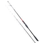 Tekne Kamışları Ryuji Spectra SP 1.98M 70-300GR 2P Bot Kamışı
