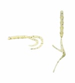Silikon Yemler Spiinx Bendura 9,5CM 5P Silikon Yem  - ICE CREAM
