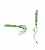Silikon Yemler Spiinx Bendura 9,5CM 5P Silikon Yem  - ICE CREAM