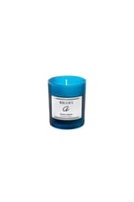TROPİCAL FOREST Mango Rüyası Soya Mum