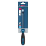 BOSCH Düz Uçlu Tornavida Pro SL 1.0 X 5.5 X 125 Mm