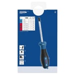 BOSCH Düz Ve Yıldız Uçlu Tornavida Takımı 6 Parça