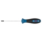 BOSCH H4 Allen Uçlu Tornavida 100 Mm