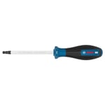 BOSCH H6 Allen Uçlu Tornavida125 Mm