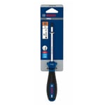 BOSCH T15 Torx Uçlu Tornavida Delikli Pro TH15 X 100 Mm