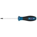 BOSCH T25 Torx Uçlu Tornavida Delikli Pro100 Mm