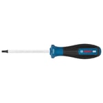 BOSCH T25 Torx Uçlu Tornavida Delikli Pro100 Mm