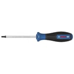BOSCH T25 Torx Uçlu Tornavida Pro V2 100 Mm