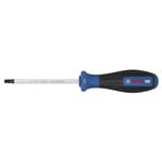 BOSCH T27 Torx Uçlu Tornavida Pro 100 Mm