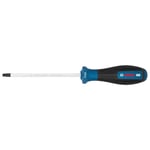 BOSCH T30 Torx Uçlu Tornavida Delikli Pro 125 Mm