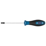 BOSCH T40 Torx Uçlu Tornavida Delikli Pro 125 Mm