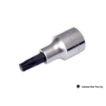 IZELTAS 1/2 T50 Lokmalı Torx Uç Kısa