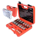 RICO 007-RC3029 1/4 Ve 1/2 Torx Uçlu Lokma Takımı Delikli 20 Parça
