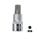 RICO 1/2 M10 Lokmalı Bits Uç Kısa 58 Mm