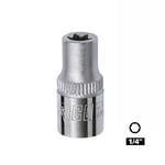 RICO 1/4 E8 Torx Lokma