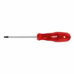RICO T27 Torx Uçlu Star Tornavida 100 Mm
