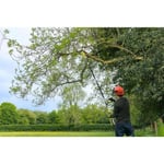 RYOBI RY36PP25A-0 Akülü Budama Testeresi Teleskobik 36V 25 Cm - (Aküsüz)