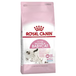 Royal Canin BabyCat 34 Yavru Kuru Kedi Maması 4 Kg