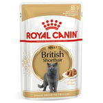 Royal Canin British Shorthair Yetişkin Pouch Kedi Konservesi 85 Gr