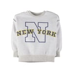 Erkek Çocuk Sweatshirt