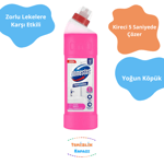 Domestos Professional Asidik Banyo Temizleyici (750 ml)