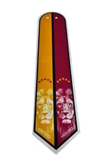 taraftar-aslan-1905-aslan-estascarf-kr-0d2-4a.jpg