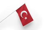30x45 cm Sopalı Türk Bayrağı 