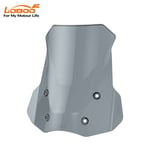 LOBOO BMW R1300 GS ve ADV TUR CAMI AÇIK GRİ