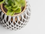 Interweave – Çift Katmanlı Örgü Tasarım Saksı