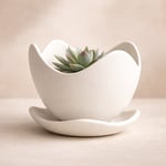 Tulip Wave Pot – Minimalist Organic Planter & Saucer (Ivory White)