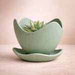 Tulip Wave Pot – Minimalist Organic Planter & Saucer (Haki Yeşil)