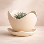 Tulip Wave Pot – Minimalist Organic Planter & Saucer (Krem / Ten)
