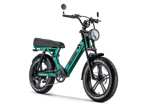 APE RYDER MD-10 ELEKTRİKLİ BİSİKLET