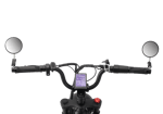APE RYDER MD-10 ELEKTRİKLİ BİSİKLET
