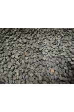 Bottom Fish Dip Balık Yemi Vatoz Yemi 50 Gram