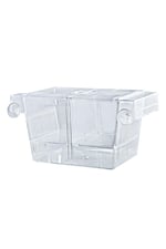 Çiftli Yavruluk - Şeffaf Vantuzlu Balık Yavruluğu 19.5 X 10 Cm