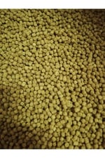 Flowerhorn Granül 100 Gram