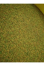 Guppy Fish Granulat 100 Gram
