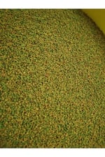 Guppy Fish Granulat 200 Gram