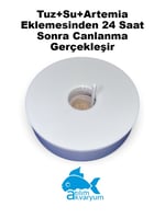 Havasız Artemia Çıkartma Seti