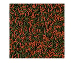 Tropical Cichlid Red&Green Medium Sticks Paket