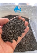 Vatoz Yemi Çöpçü Balığı Yemi Akvaryum Dip Yemi Besleyici Yemler 100 Gram