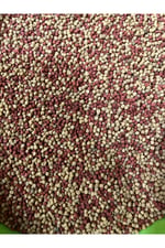 Yunus Balığı Yemi, Yunus Ciklet Kafa Yemi, Yüksek Proteinli Balık Yemi 100 Gram