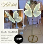 Kelebek