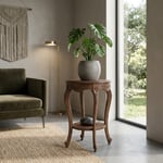 Lilia Oymalı Saksılık