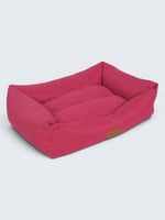 Fil Pembe