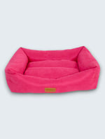 Fil Pembe