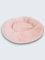 Flamingo Pembe